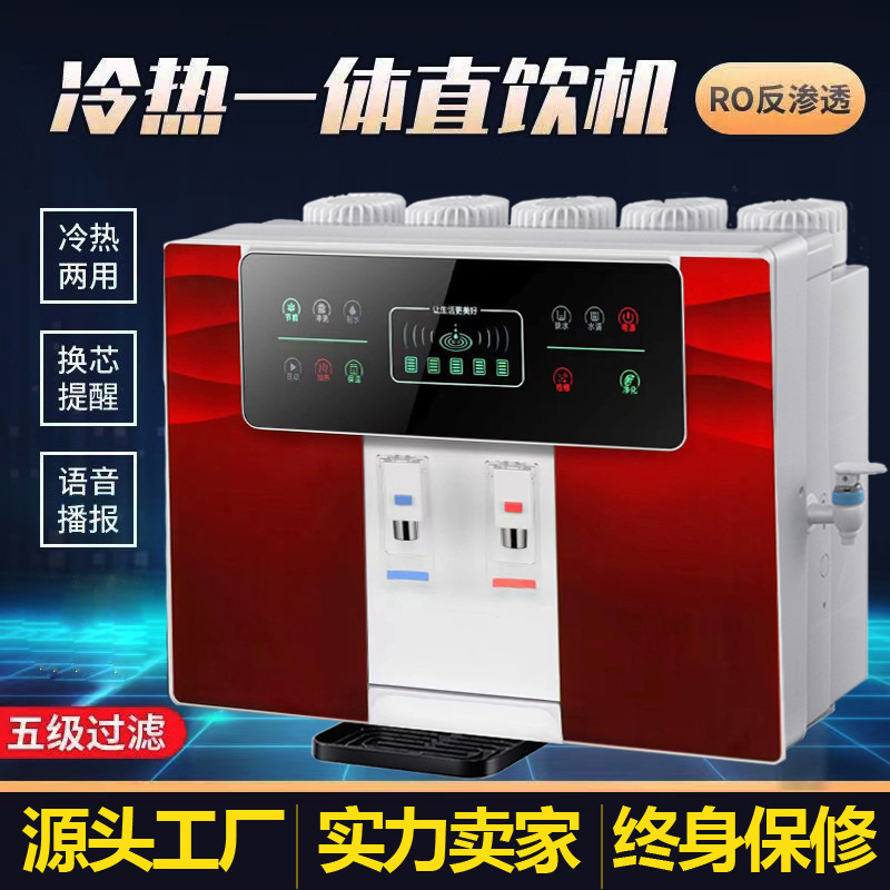 冰热一体净水器家用加热直饮纯水机厨房壁挂五级ro反渗透净水机